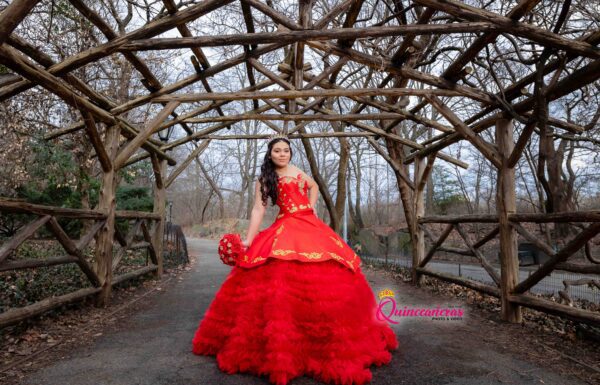 The party of Brenda "Quinceanera Inspiration" on Quinceaneras App . See more ideas about quinceanera, sweet 16quinceanera planning, quince dresses. New York Gallery 10