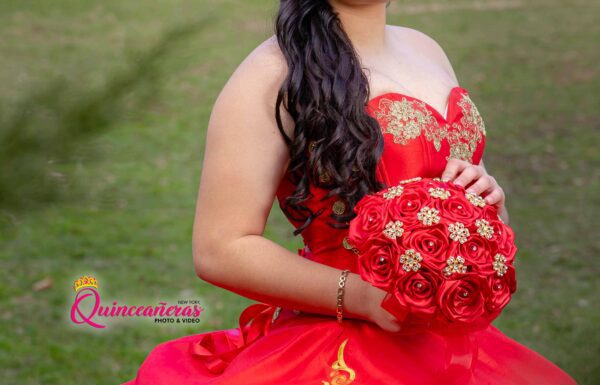 The party of Brenda "Quinceanera Inspiration" on Quinceaneras App . See more ideas about quinceanera, sweet 16quinceanera planning, quince dresses. New York Gallery 0