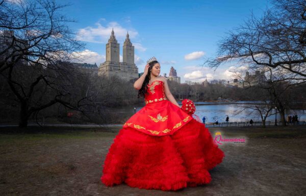 The party of Brenda "Quinceanera Inspiration" on Quinceaneras App . See more ideas about quinceanera, sweet 16quinceanera planning, quince dresses. New York Gallery 2