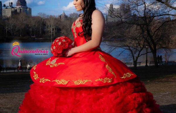 The party of Brenda "Quinceanera Inspiration" on Quinceaneras App . See more ideas about quinceanera, sweet 16quinceanera planning, quince dresses. New York Gallery 4