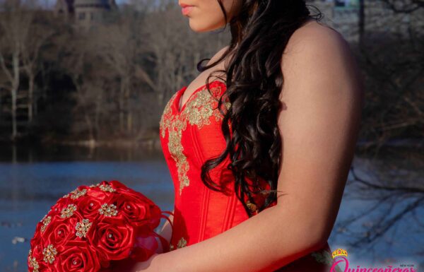 The party of Brenda "Quinceanera Inspiration" on Quinceaneras App . See more ideas about quinceanera, sweet 16quinceanera planning, quince dresses. New York Gallery 6