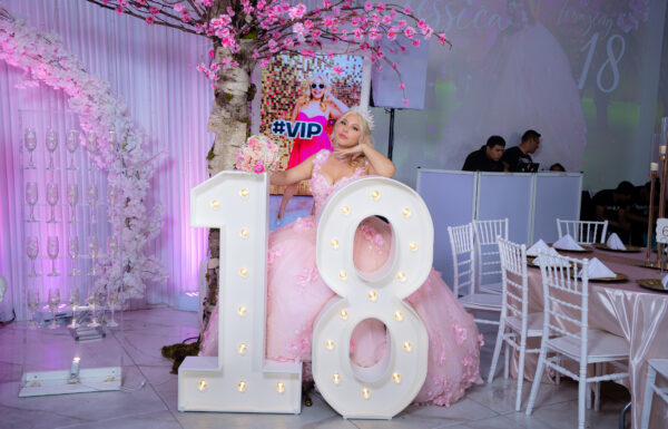 The party of Jessi Best Photoshoot Sweet 16 in Queens New York @quinceanerasnyc Gallery 30