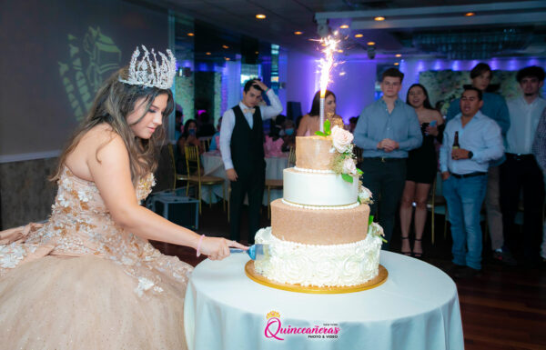 The party of Valerie Coming of Age: The Quinceañera Celebration @Quinceanerasapp Gallery 3