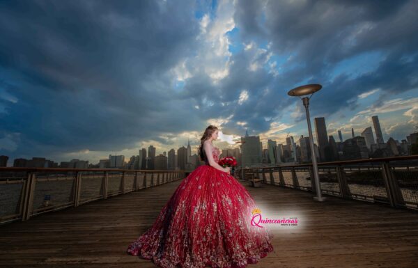 The party of Angelina M Red Quince dress, Sweet 16 photo and video New York Gallery 6