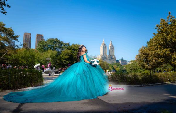 The party of Julissa T Photography & Video for Weddings & Sweet 16's in NYC Gallery 5