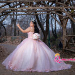 The wedding of AshleyE. – Quinceanera Dresses for Sale in New York Fotógrafo de quinceañera en Brooklyn New York @quinceanerasnyc Gallery 2